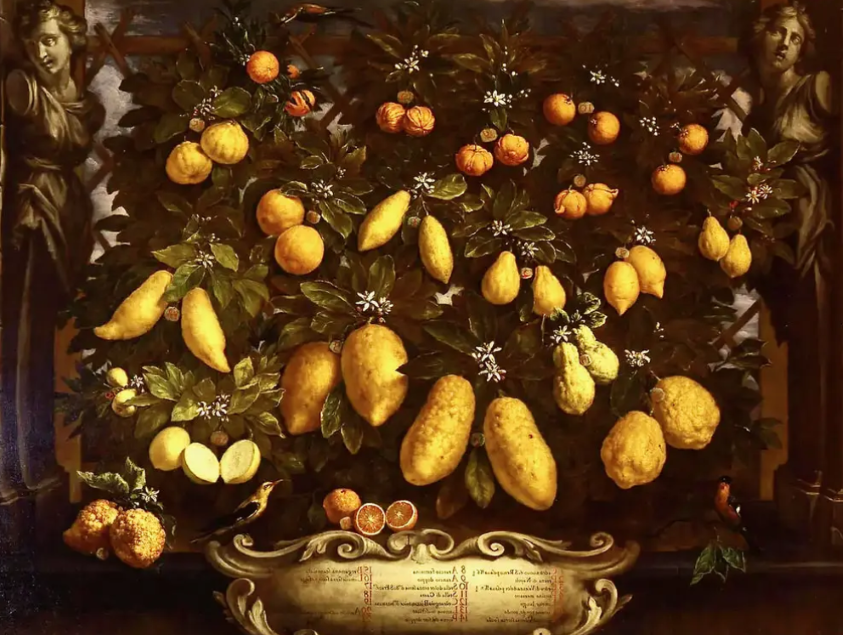 obraz Bartolomeo Bimbi, owoce cytrusowe, cytryny, pomarańcze, wiszące na drzewie, w górnych rogach rzeźby postaci ludzkich