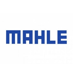 Mahle Manuals