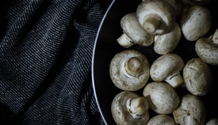 Obrazek wpisu - La Polonia, regina europea degli champignon